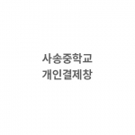 뱀부얀화이트+자수+(보자기포장 100+땡스케이스 90) 190
