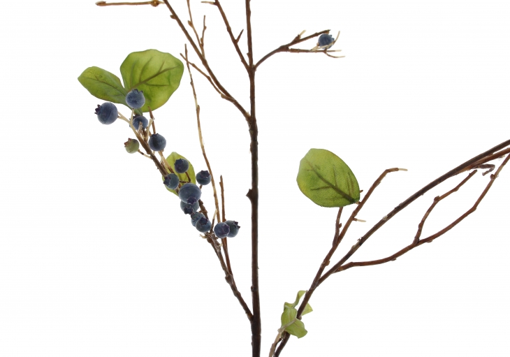 [WW] 블루베리 열매 가지 - 블루