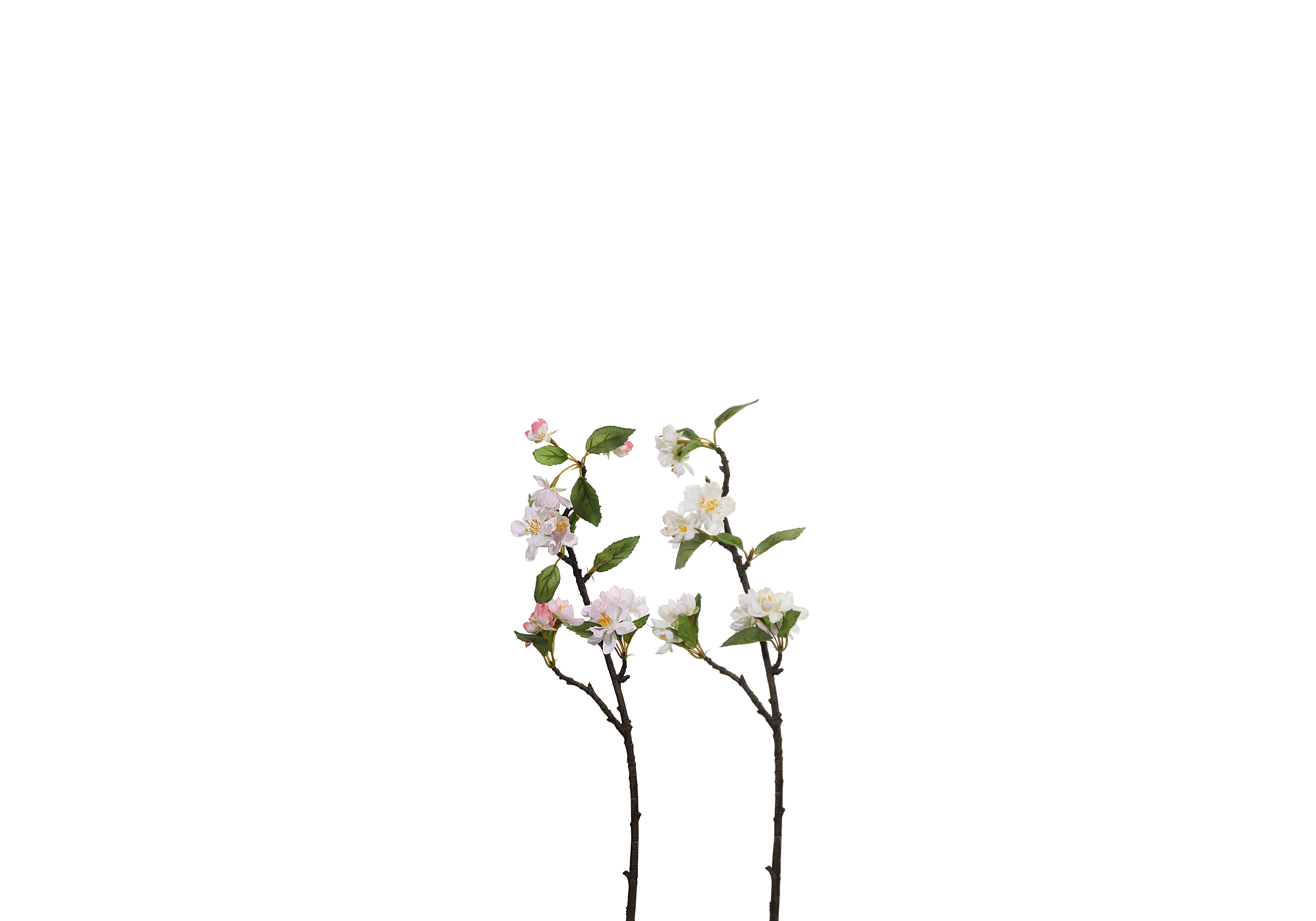 [SC] 벚꽃 - 화이트, 라이트 핑크