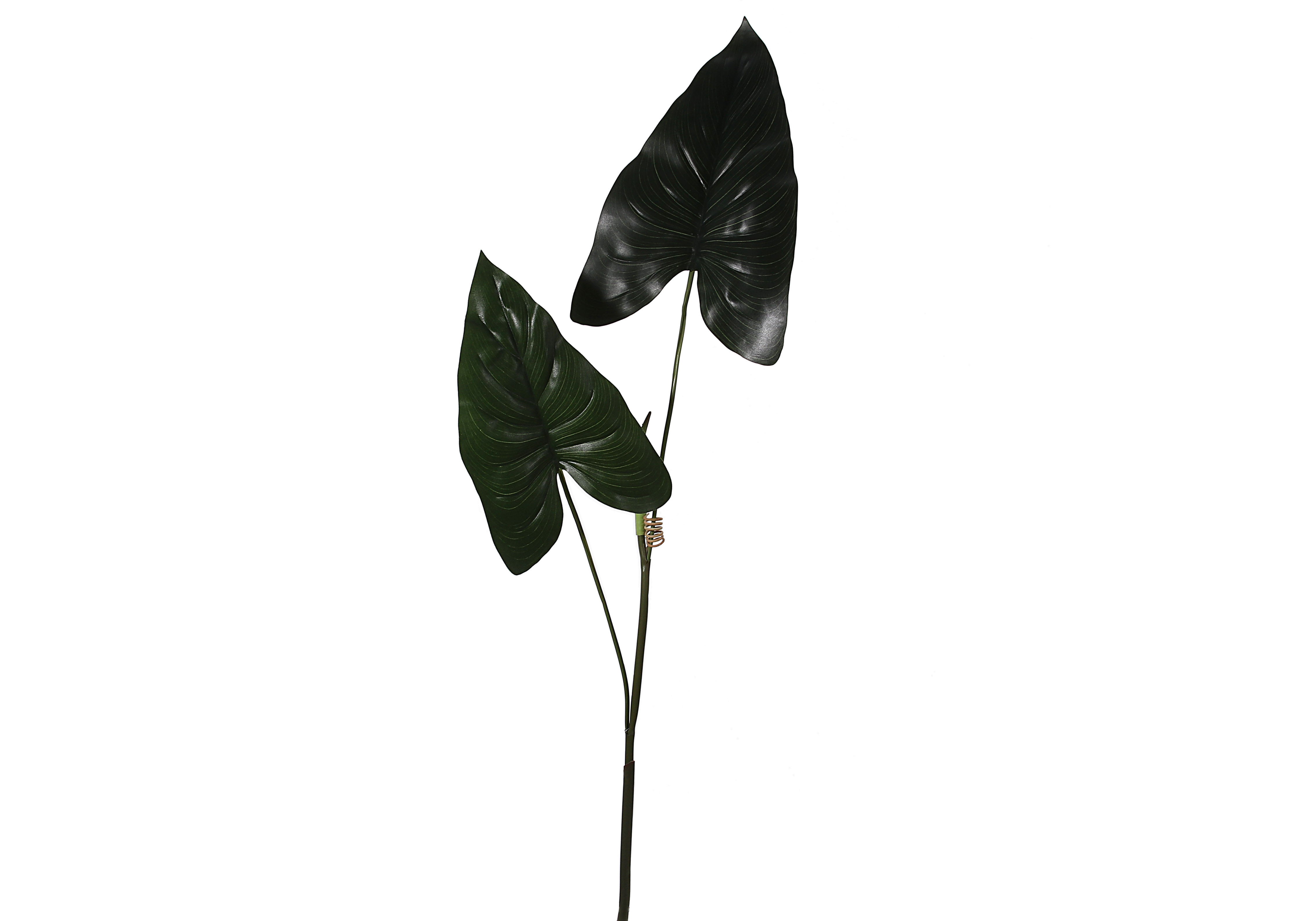 [BL] 안수리움 잎 - 그린