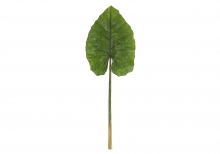 [GE] 알로카시아 잎 - 그린