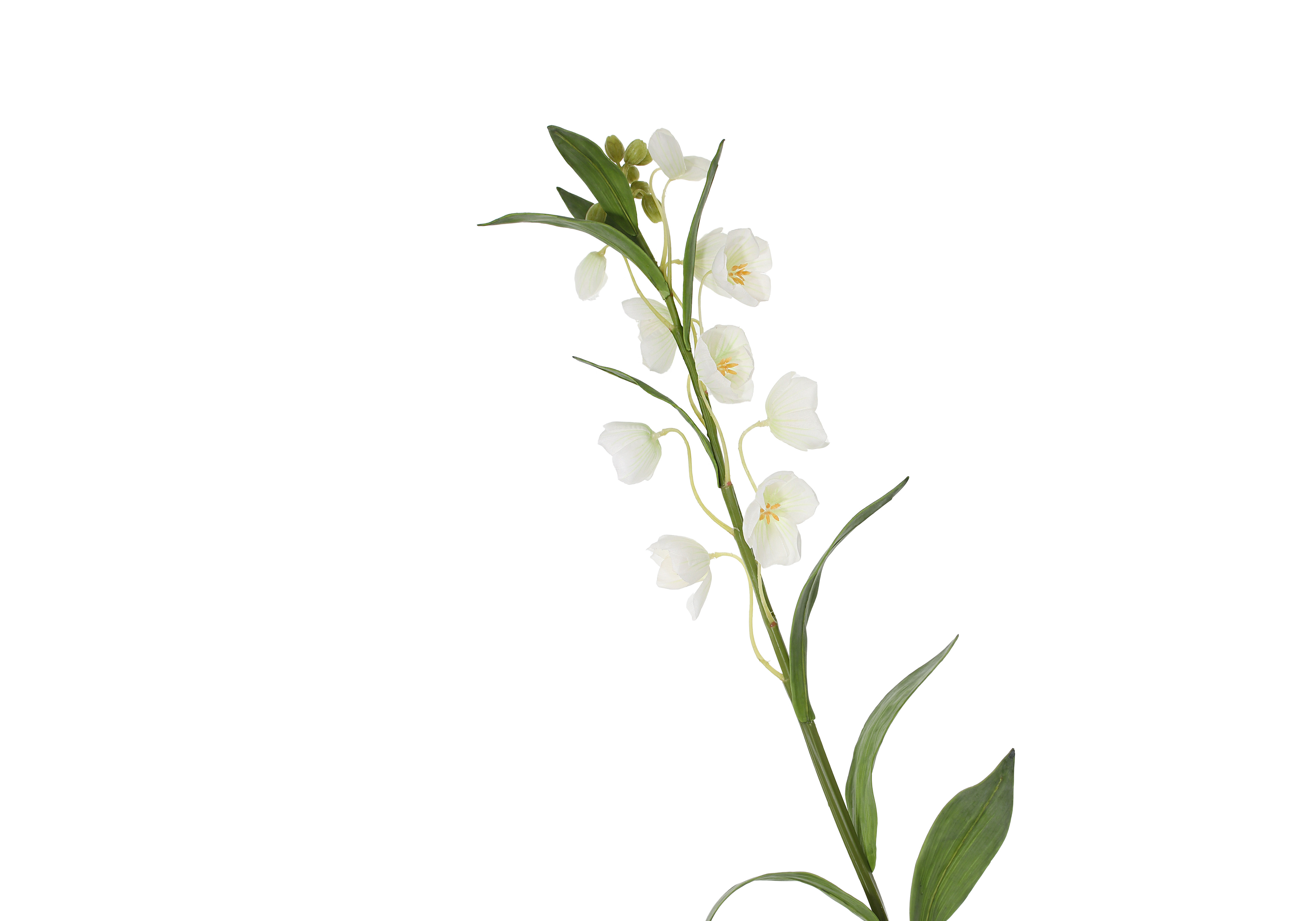 [GE] 프리틸라리아 - 크림