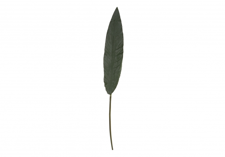 [GE] 극락조 잎 - 그린
