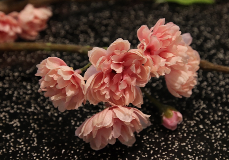 [FI] 벚꽃 - 핑크