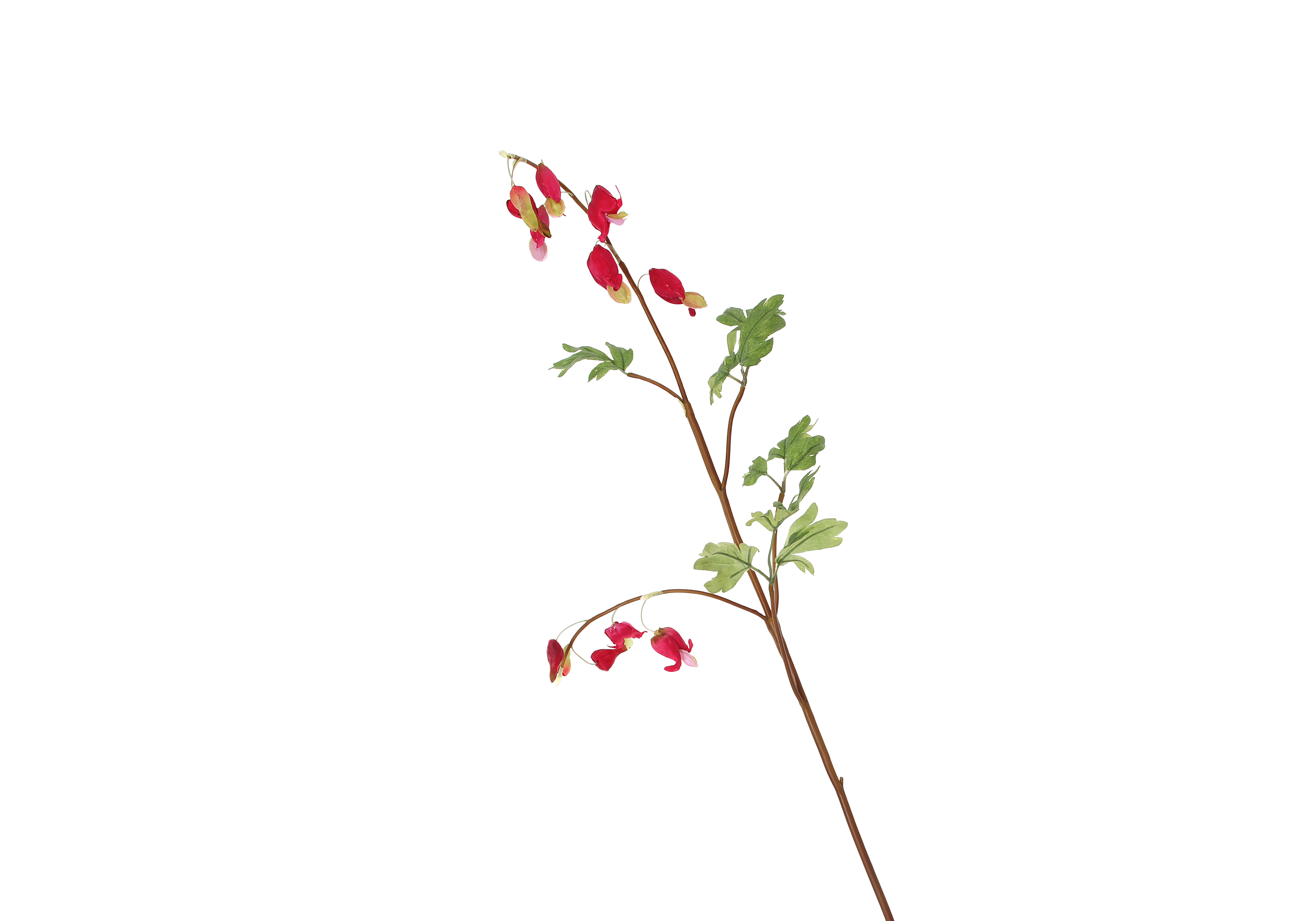 [GE] 금낭화 - 레드