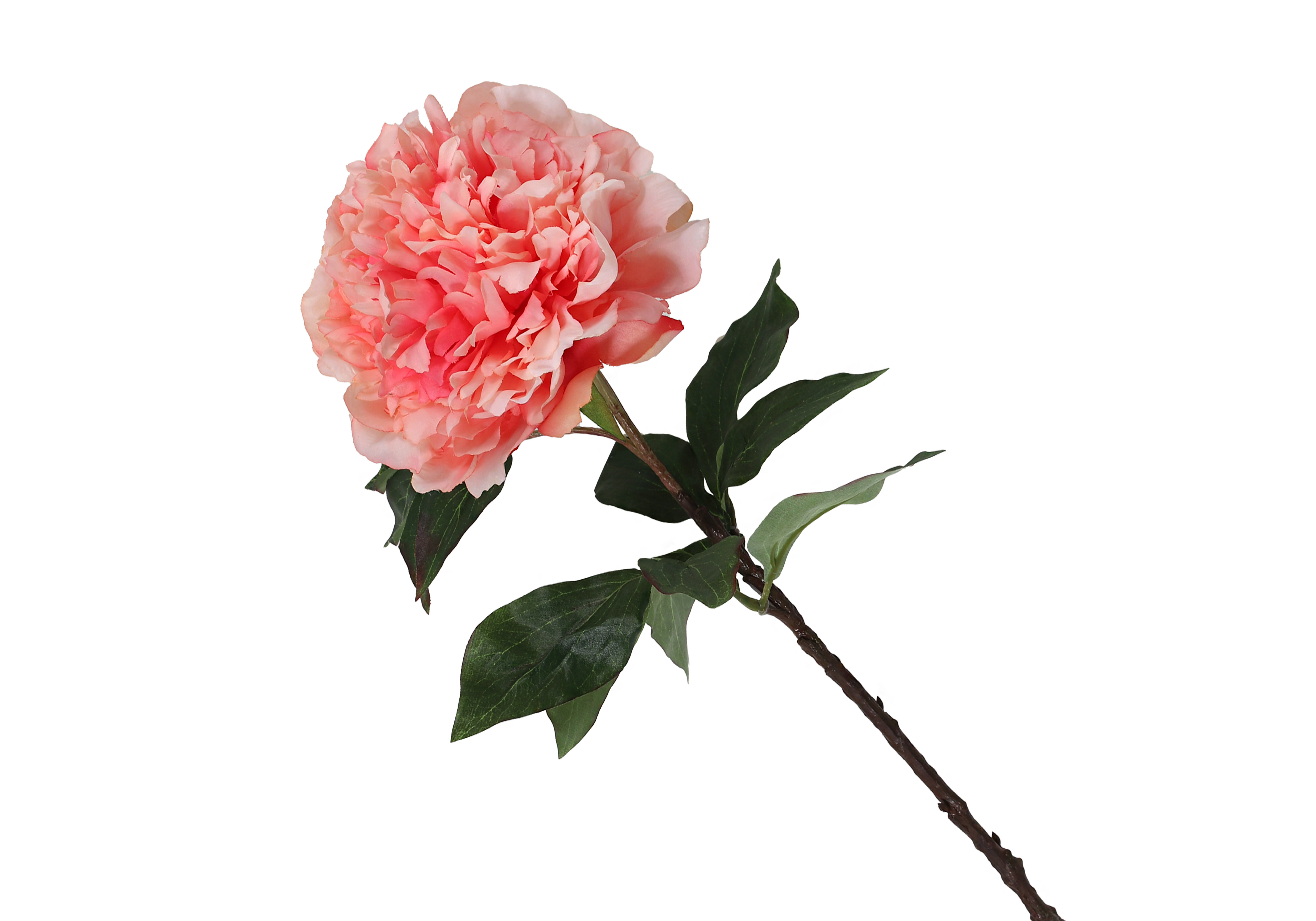 [FI] 작약(PEONY SPRAY) - 피치