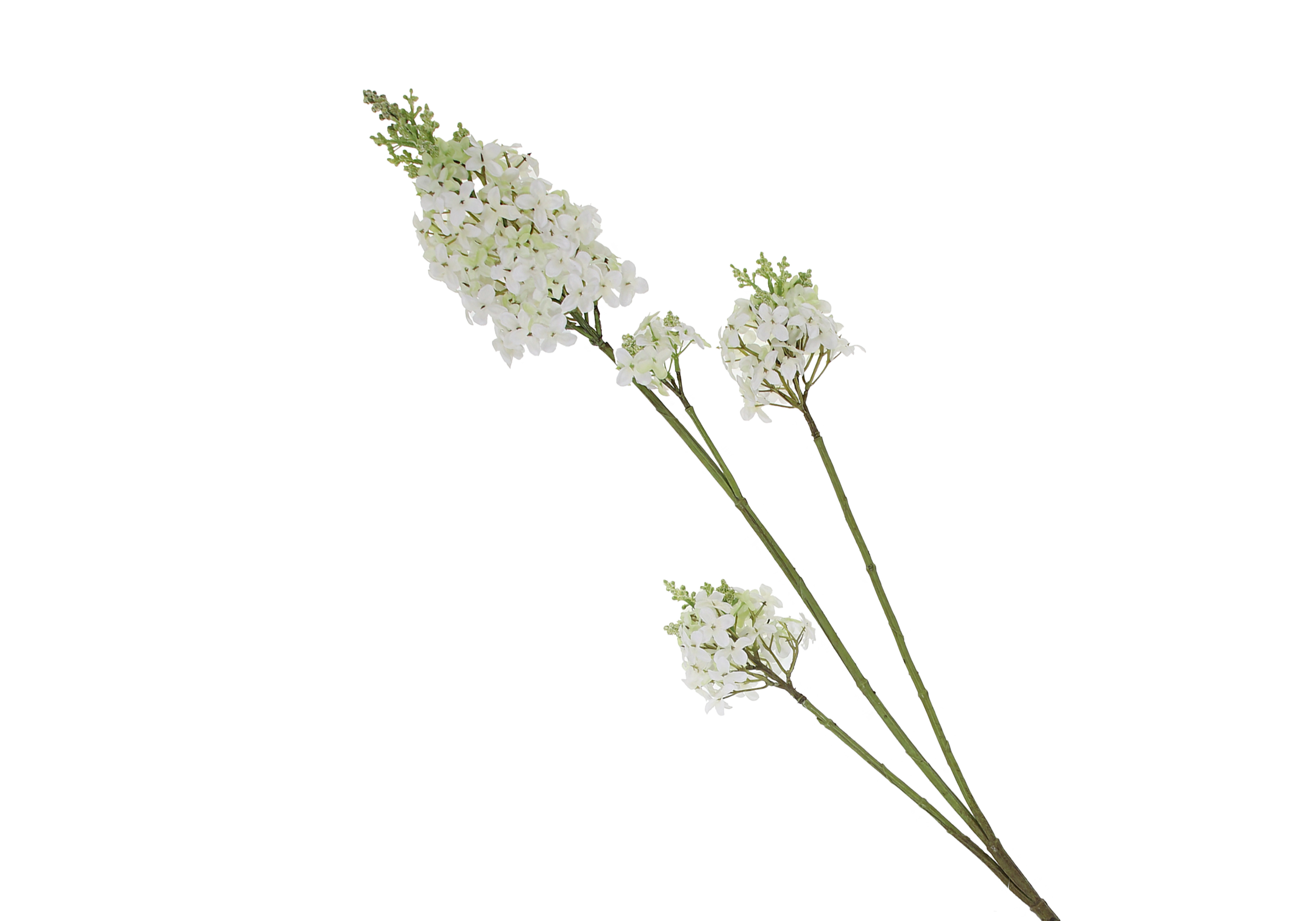 [FI] 라일락(LILAC) - 크림