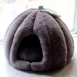 키즈맘 반려동물 강아지 고양이 하우스 호박 숨숨집 XL