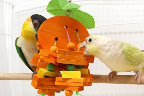 [00998] 나무조각 오렌지