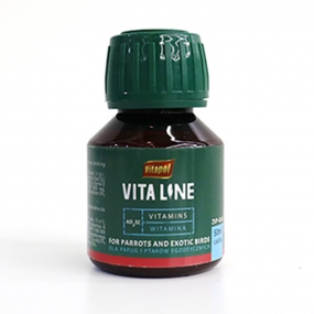 [ZVP-4260] 비타폴 비타라인 비타민 AD3EC 바이러스 억제·감기 예방· 건강 밸런스 50ml - 24.05.31