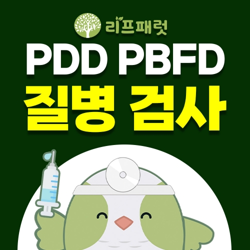 PDD&PBFD 질병검사 [Q&A 꼭 참고해주세요!]