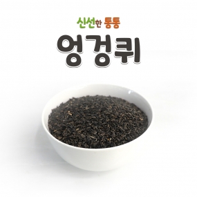 키워쥬 프리미엄 개별알곡 신선통통 [엉겅퀴] 500g