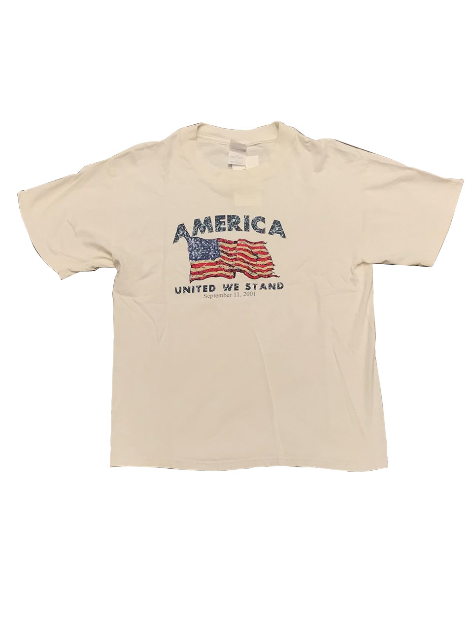 [빈티지] 아메리카 2001 티셔츠 (95 / 2206-A-M71)
