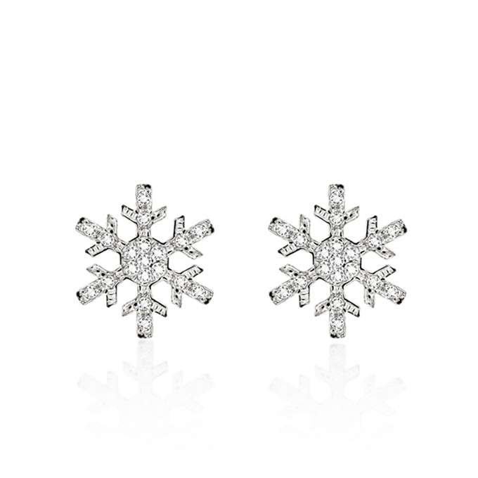 눈의 꽃 귀걸이 (소) Silver_925 CZ