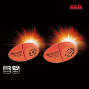 찌스 호리존탈 전자기울찌 전유동찌