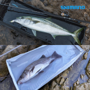 시마노 콤팩트 피시 풀 BA-027Y 접이식 물고기보관 트레이