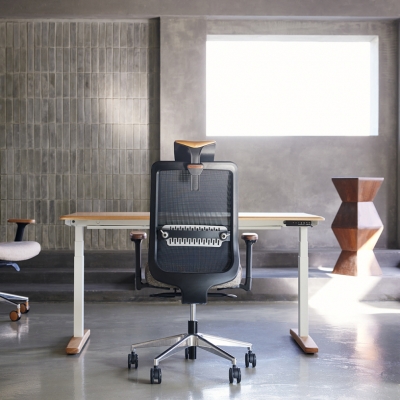 카레클린트X루나랩 801 MOTION DESK PRO