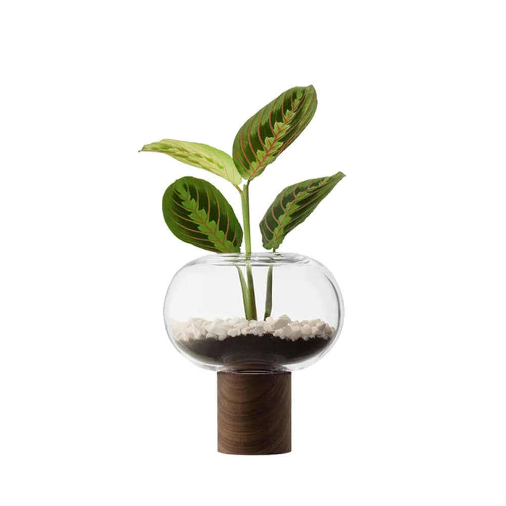엘에스에이 오블랏 화병 21.5cm 클리어
