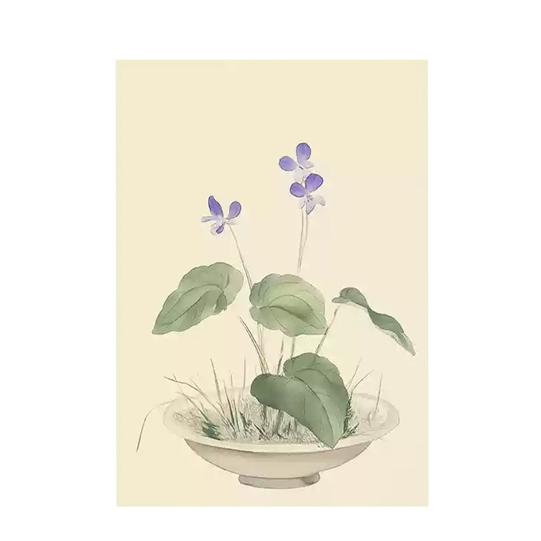 오커밍 캔버스 포스터 - 비올라 (Viola.02)