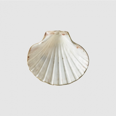 (8월특가) [단독최저] [TVS] 씨쉘 브라스 악세사리 트레이 / Seashell Brass Tray (-8/31)