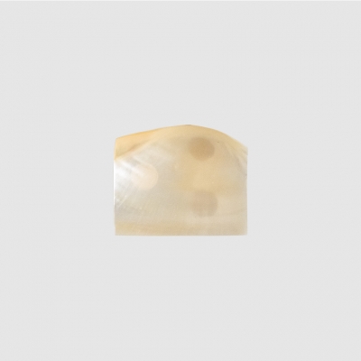 (8월특가) [단독최저] [TVS] 씨쉘 미니 악세사리 트레이 / Seashell Mini Tray (-8/31)