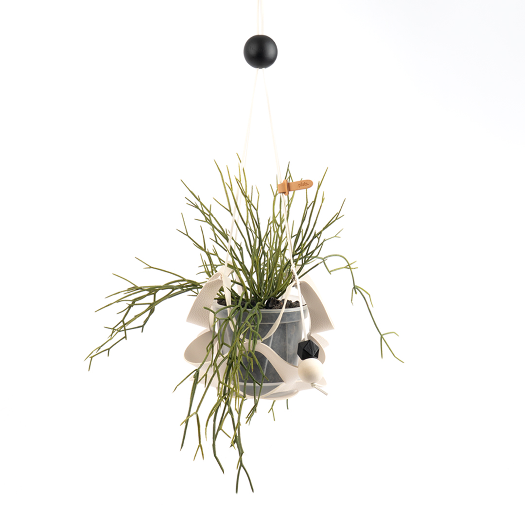 (12월특가) 플랫츠 오브제플랜트 조화 립살리스 화이트 + 댕글 XS (-12/31)