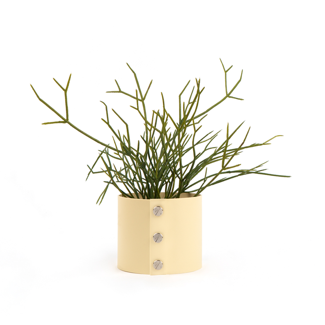 (11월특가) 플랫츠 오브제플랜트 조화 립살리스 화이트 + 팟커버 P (-11/16)