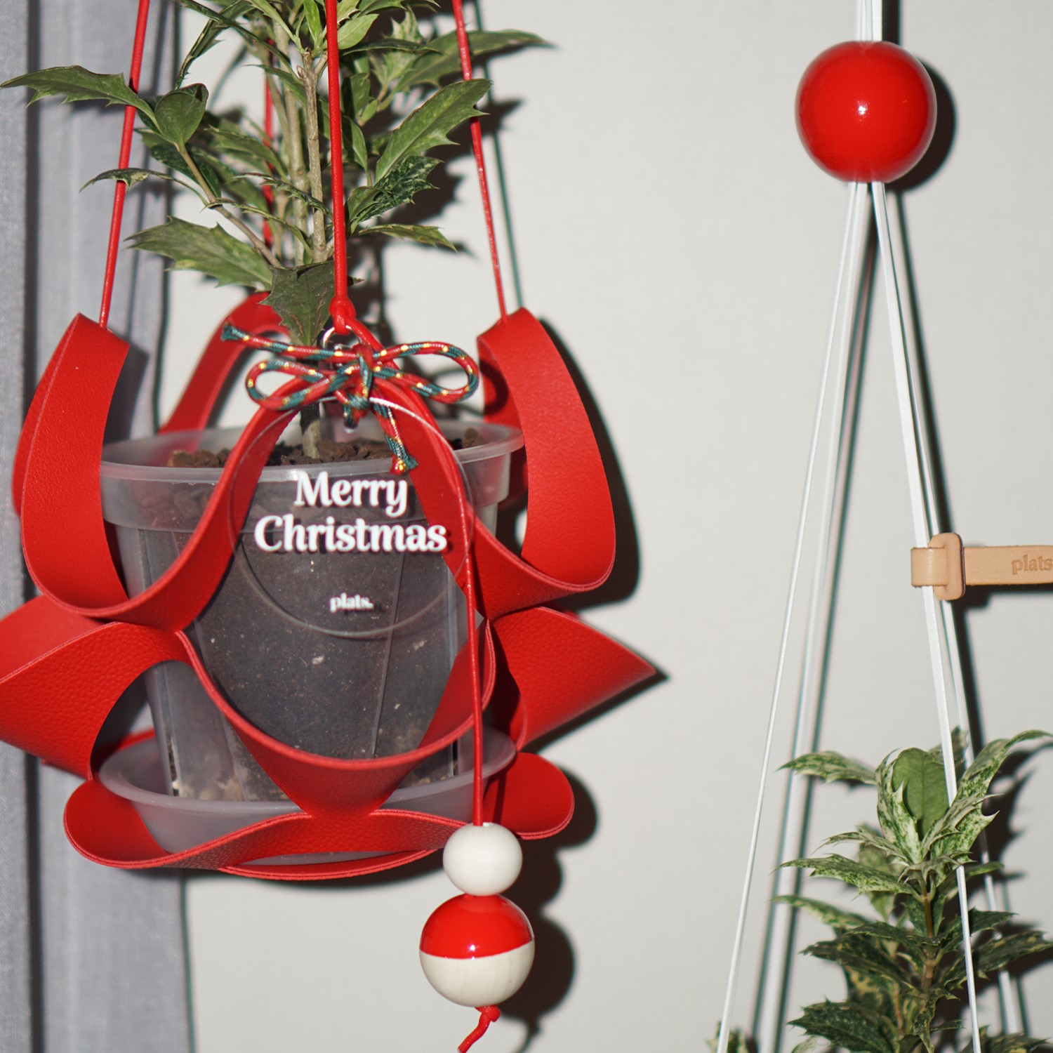 [프리오더] (11월특가) 플랫츠 댕글 홀리데이 에디션 XS 단품 (-11/23)