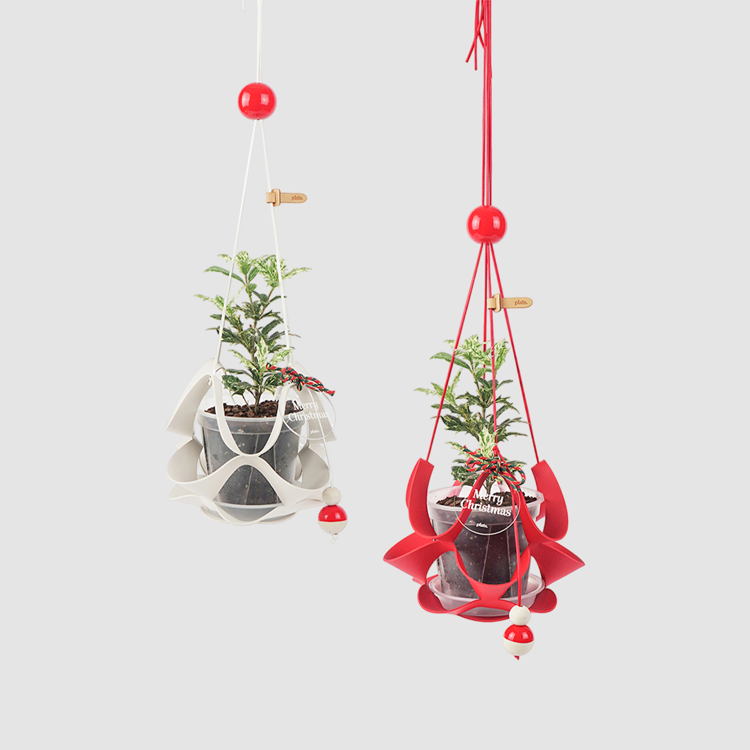 [프리오더] (11월특가) 댕글 홀리데이 에디션 XS + 무늬 호랑가시 세트 (-11/23)