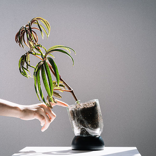 (1월특가) 비믹스 클리어팟 화분