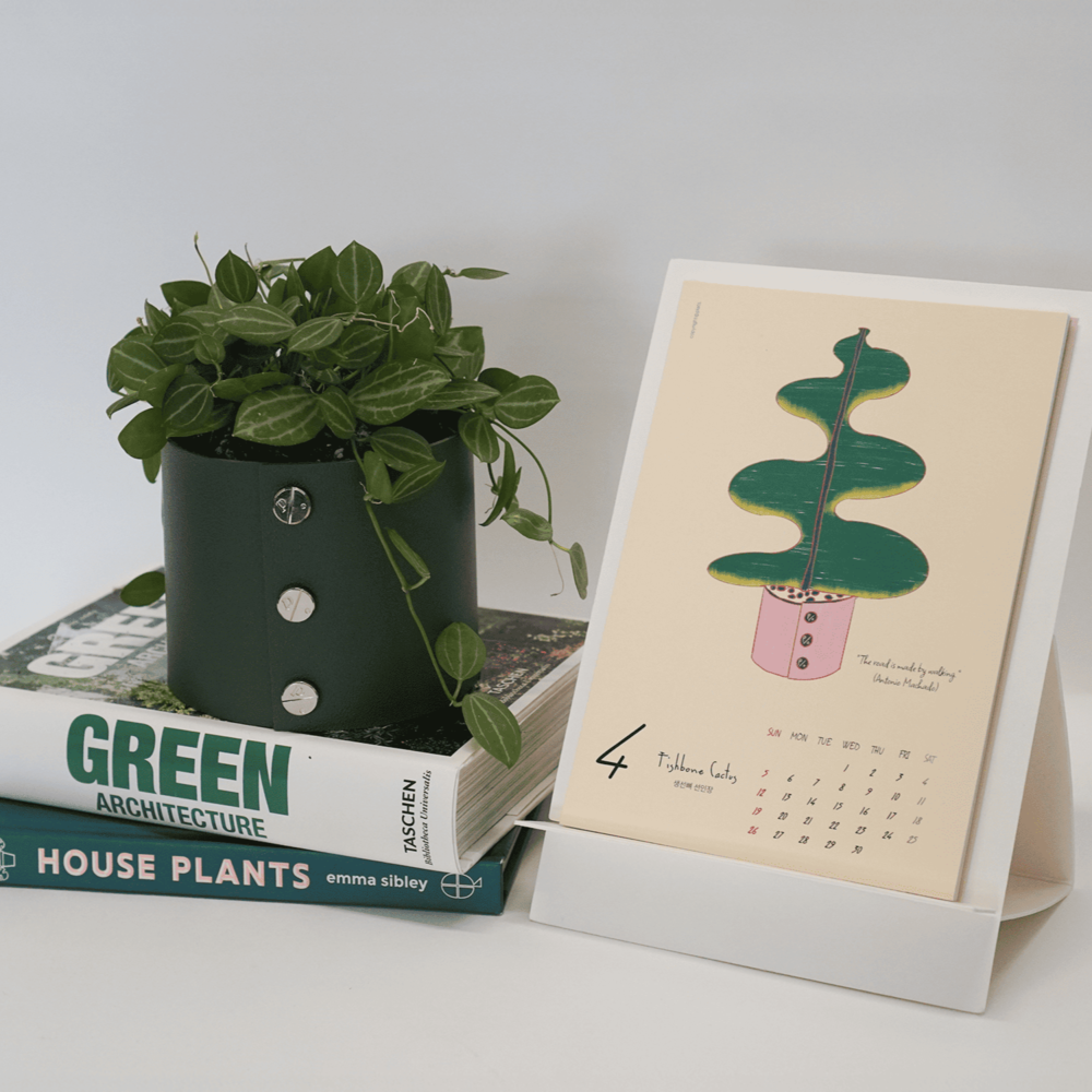 플랫츠 2026 레드 홀스 그린 데이즈 캘린더