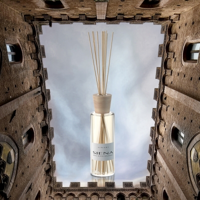 리나리 트레블 디퓨져 250ml 시에나 우드