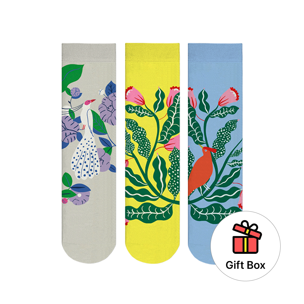 아티쉬 양말세트 - 아가트 싱어 양말 3종세트