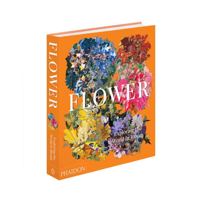 파이돈 Flower Book