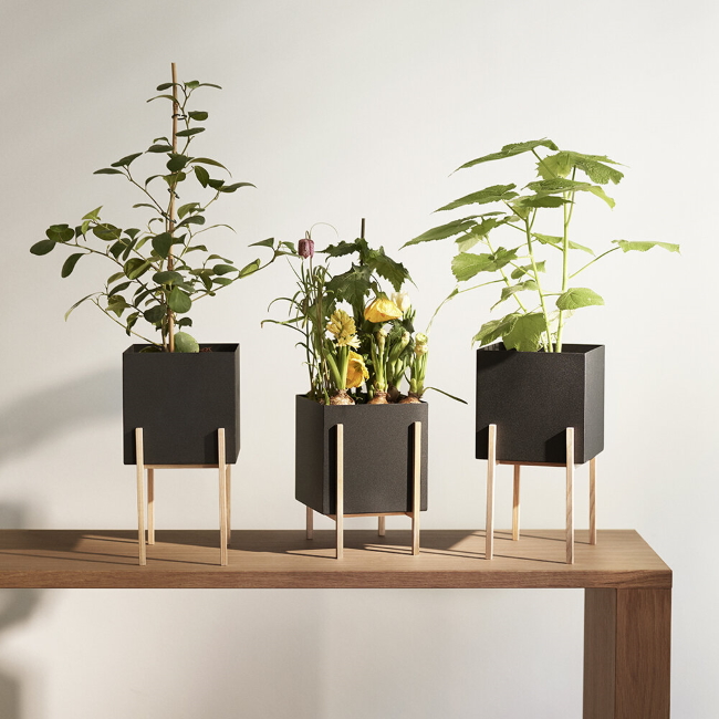 디자인하우스스톡홀름 보타닉 팟 Botanic Pot Black Ash