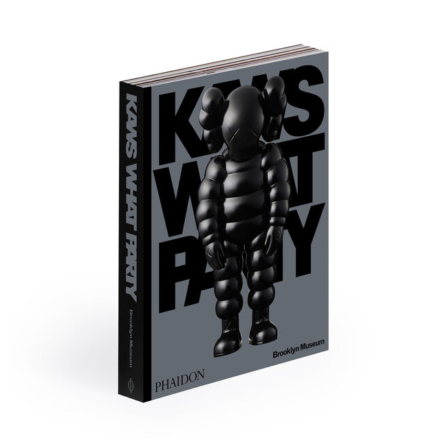 파이돈 KAWS : What Party Black (Limited Edition)