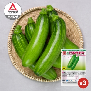 아시아종묘 호박 씨앗 종자 신진동애호박 50립x3개