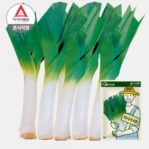 아시아종묘 씨앗 종자 리이크 아시아4호 10g