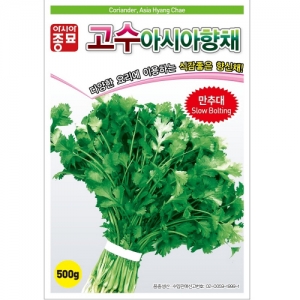 아시아종묘 채소씨앗종자 - 고수 아시아향채(500g)