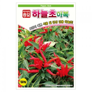 아시아종묘 고추씨앗종자 하늘초 아복 (50립)