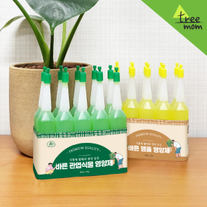 트리맘 식물영양제 10P 종합 꽃 관엽 난 다육이 앰플형 영양제 그린썬
