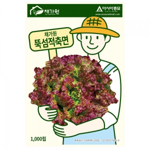 상추종자씨앗 채가원 뚝섬적축면 1000립