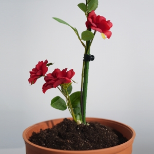 식물지지대 넝쿨 고추 화분 지주대 [그린]