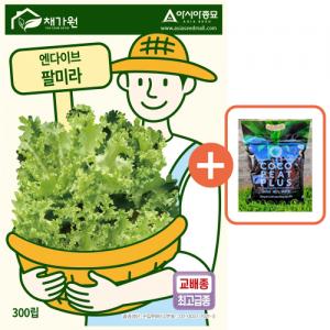 아시아종묘 씨앗 치커리 팔미라 300립 엔다이브 + 코코피트 플러스 5L