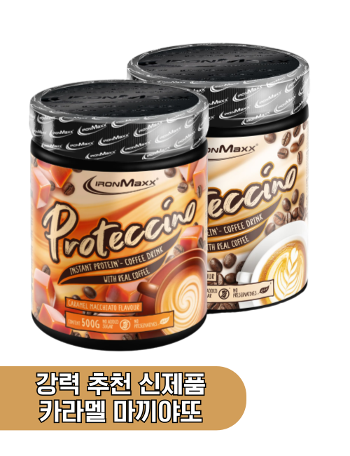 프로티치노 500g x2 패키지