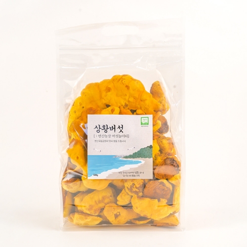 직접 키운 황금빛 상황버섯 500g