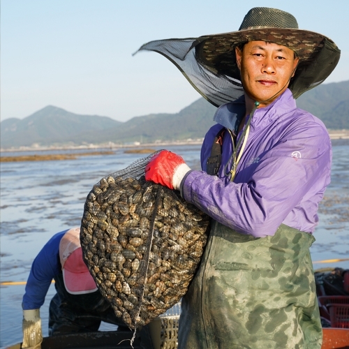 [하전바지락] 국내산 해감 생바지락 3kg, 5kg