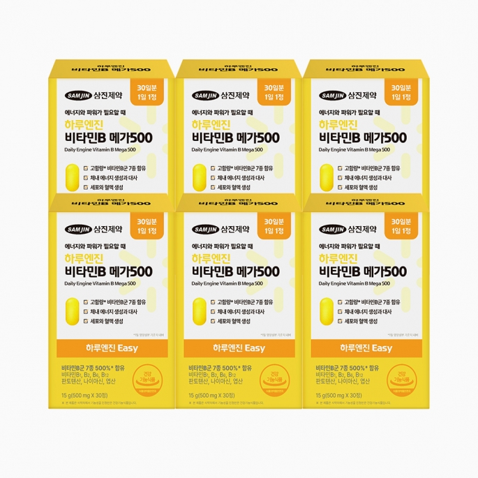 삼진제약 하루엔진 Easy 비타민B 메가500 30정 x 6박스(6개월분)