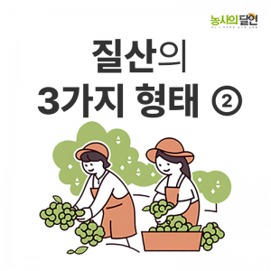 첨부이미지