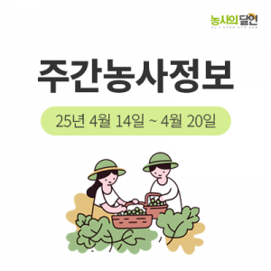 첨부이미지